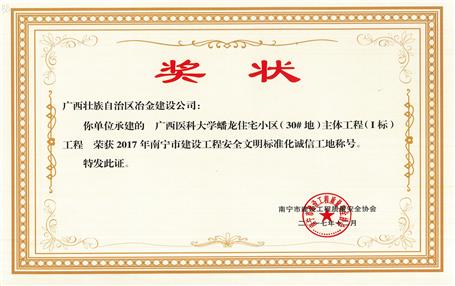 南寧分公司四個項目獲表彰！