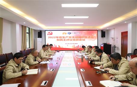 廖立波、唐峰、何勇以普通黨員身份參加所在黨支部2022年度組織生活會(huì)