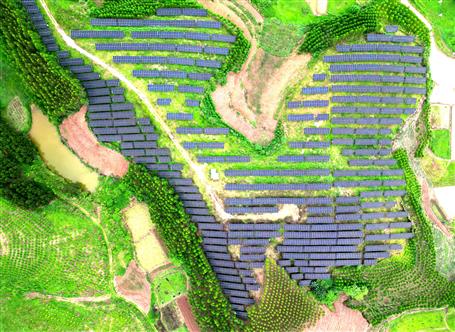 【錨定目標(biāo) 奮力沖刺】冶建基礎(chǔ)分公司寧明縣光伏項目有序推進(jìn)