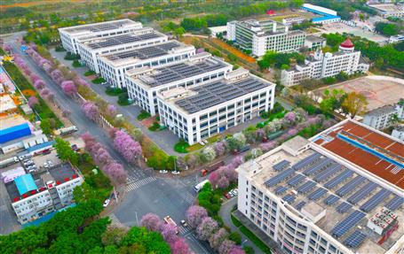 【實干筑夢·競賽爭鋒】冶建基礎(chǔ)分公司一光伏發(fā)電項目順利通過竣工驗收